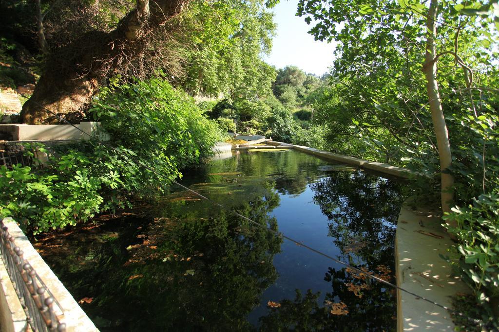 Villa Athina Aryiroúpolis Camera foto